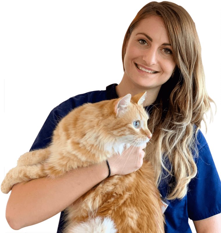 hospitalisation_chat hospitalisation chat